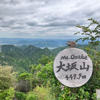 峠から、300ｍ弱を一気に登り返し、それも、めっちゃ急登、心折れる寸前、倒れ込むように「大坂山」山頂へ・・・

＜山頂パノラマ動画あります。＞

大休憩。

遠く、「背山」（数曽寺最高峰）へ行けるんやろか❓

大休憩の後、気合を入れ直して、背山へピストン突入～🔥
