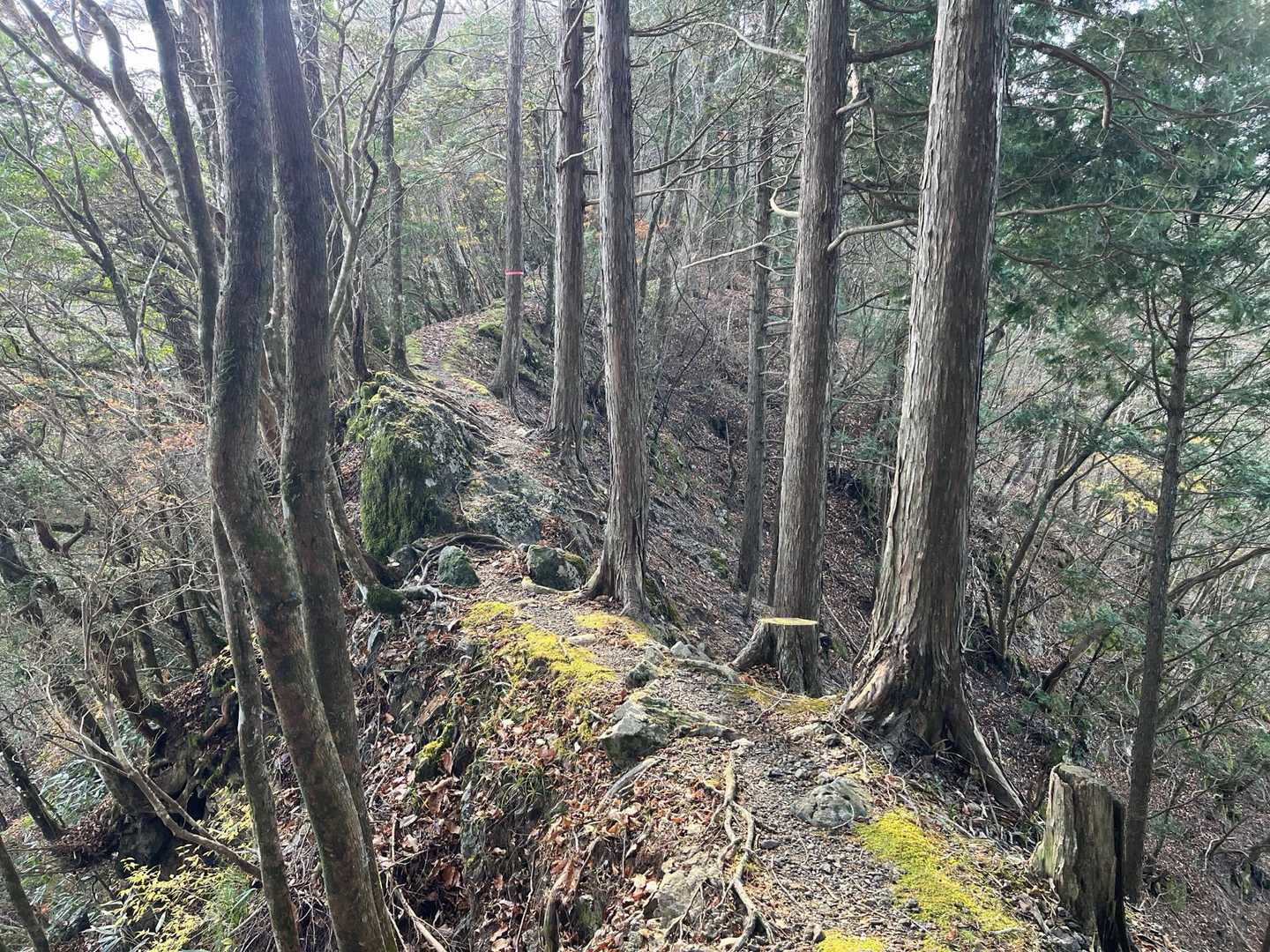 細尾根が続きドキドキ🥺