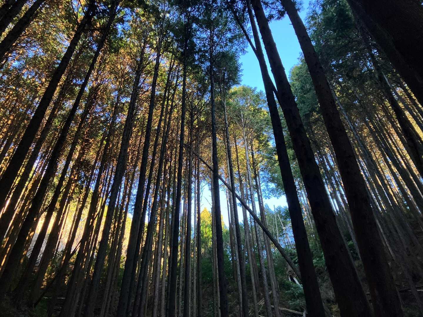 青空