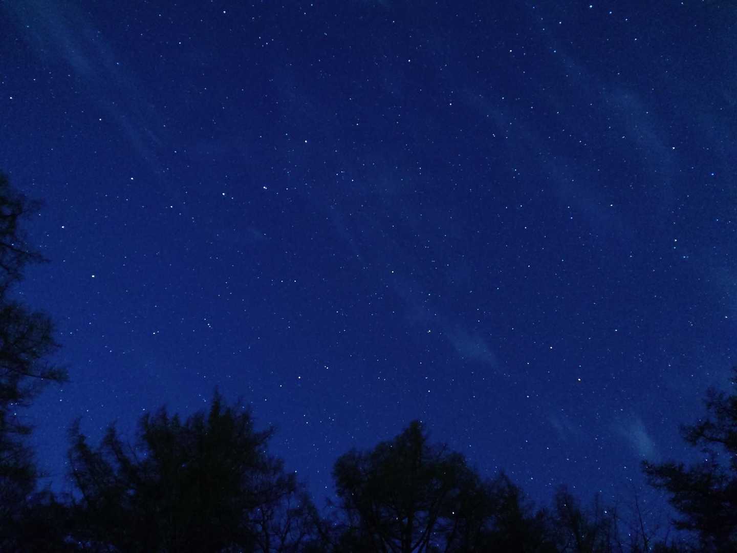 夜中、目が覚めるとテン場から星空が見えました✨️✨️