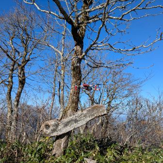 山頂でしっかり小一時間🥳楽しんだら