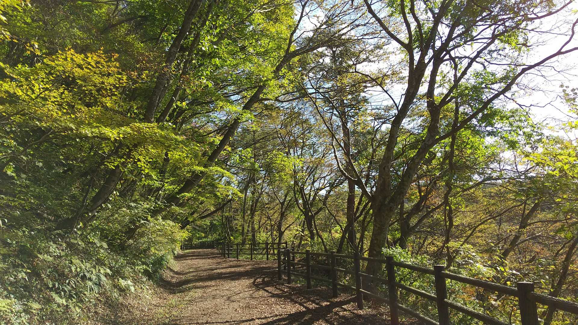 【鳴子峡】深さ100mの大峡谷が織りなす絶景｜宮城・大崎の写真