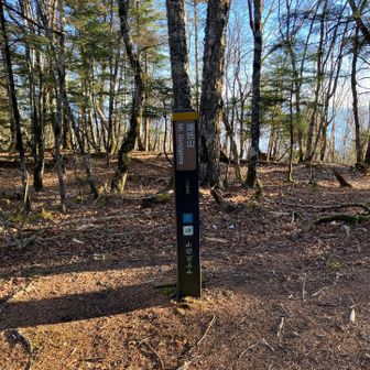 源氏山到着🙌 山頂は木に囲まれていて眺望は良くない😓