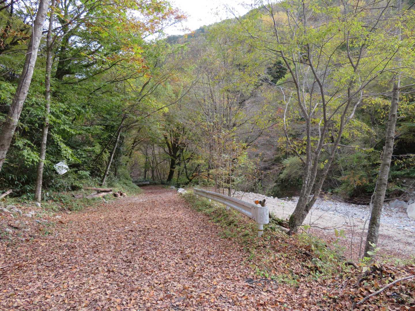 沢の音を聴きながら、こんな道を歩いて帰ります🚶🎵楽しいな🎵