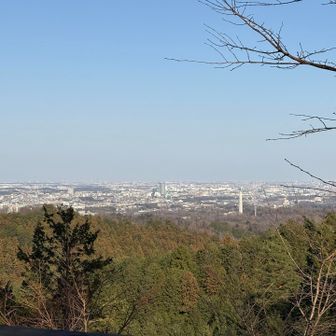山頂の雰囲気と見晴らしが良くてびっくりです！
