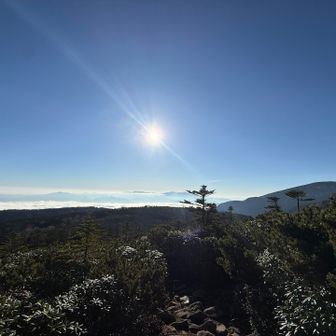 山頂より手前がきれい