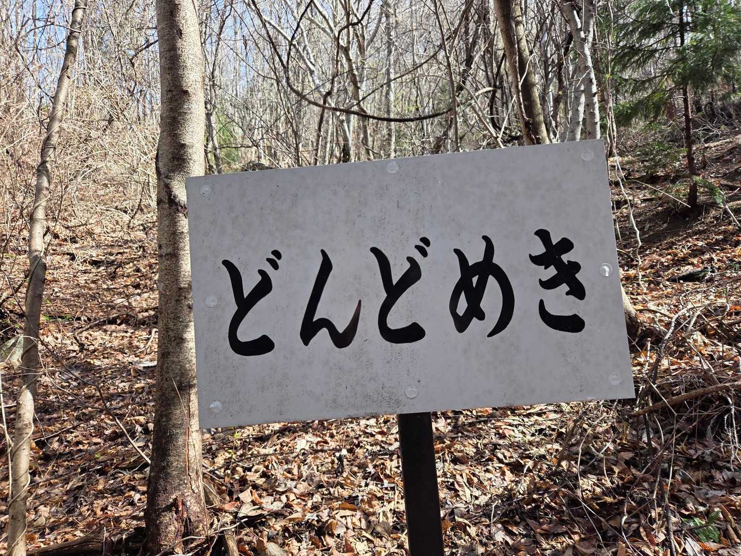 「どんどめき」
付近を見回してみましたが、これが何を示しているのか分かりませんでした😅
