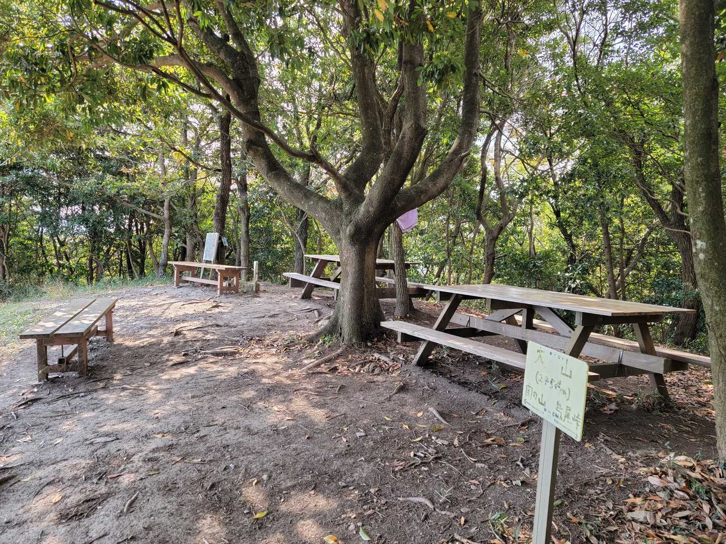 山頂
