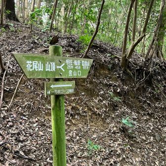 帆柱山、権現山、皿倉山へ向かいます。