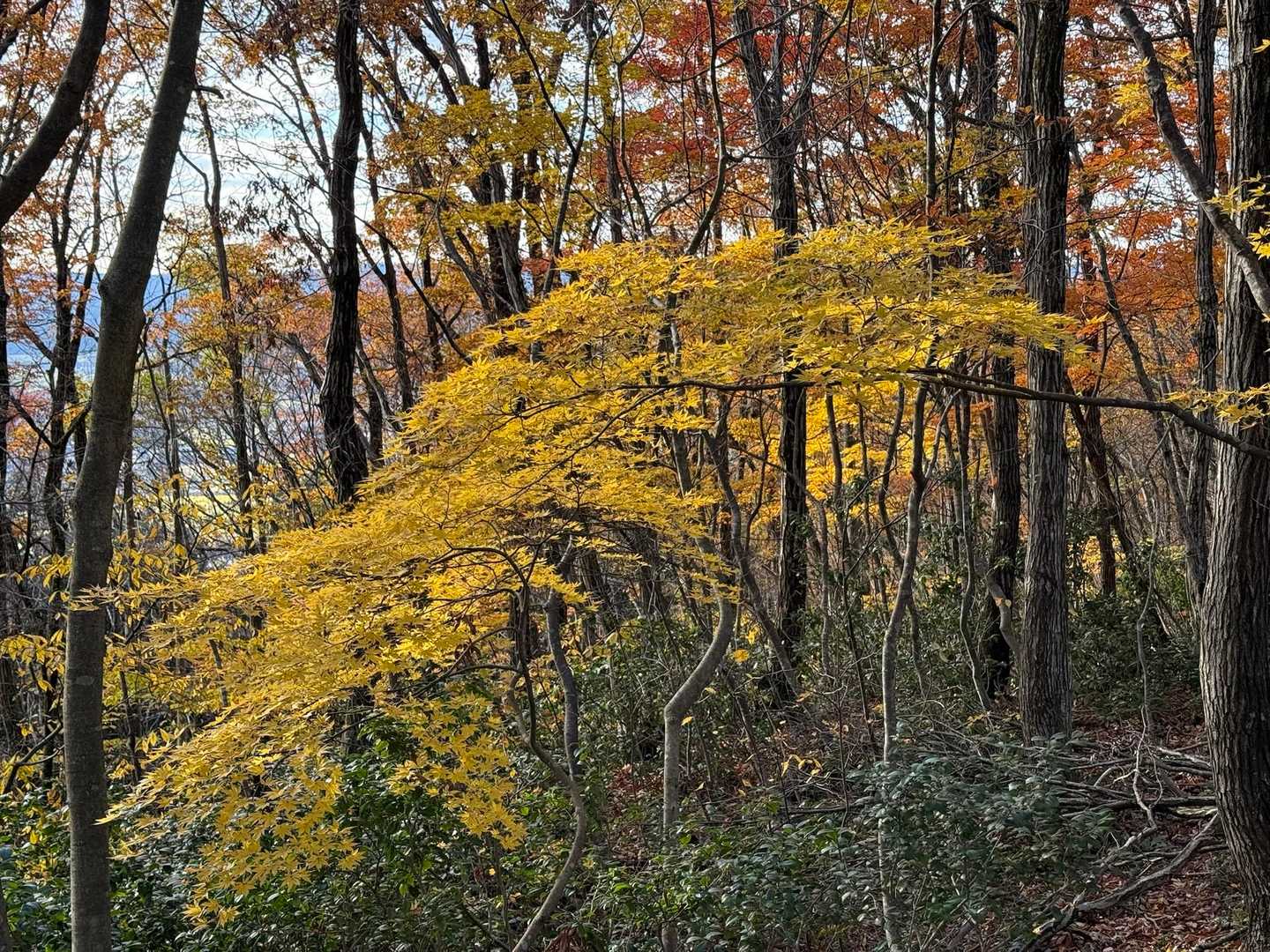 キレイ🍂