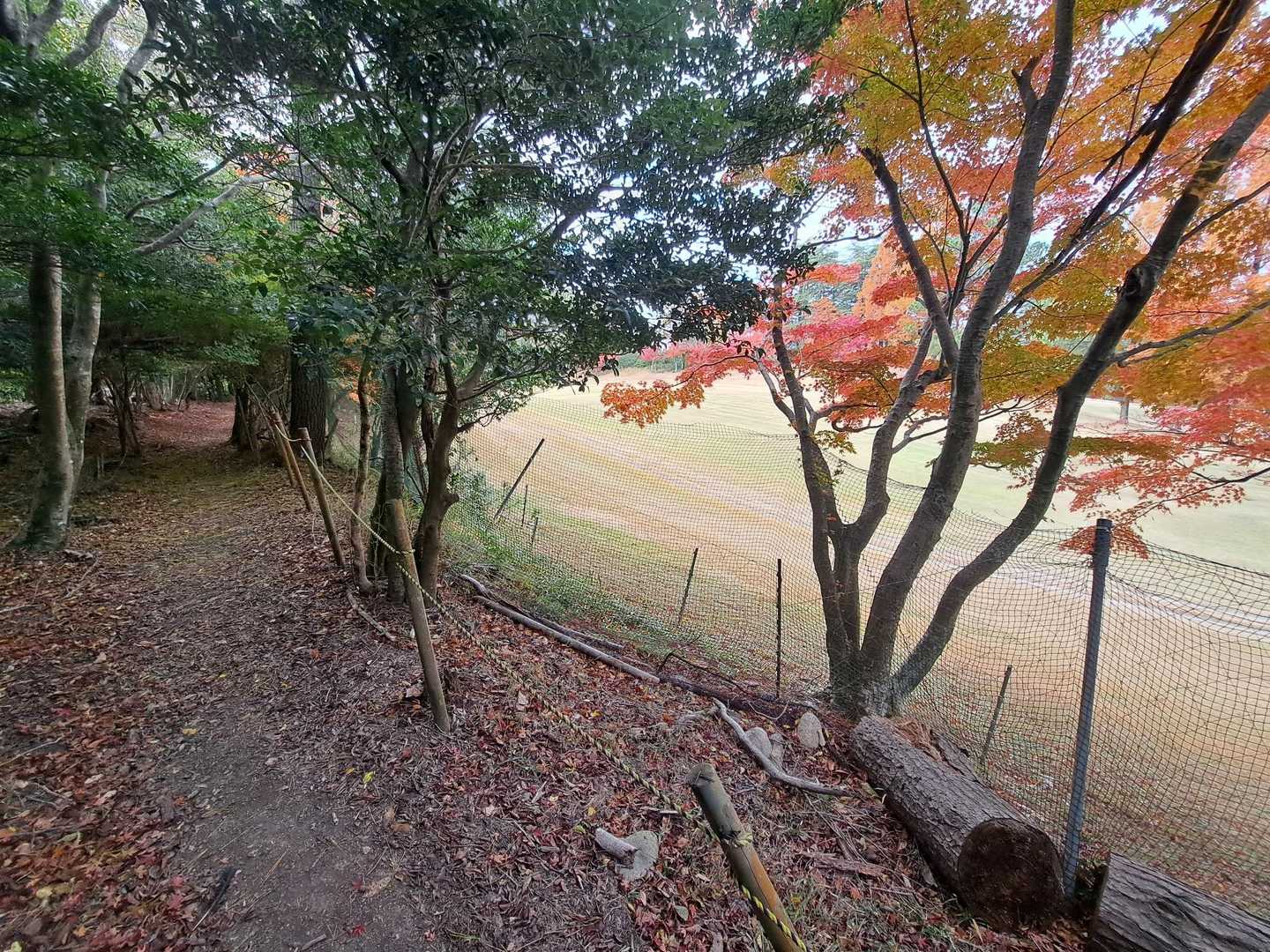 ゴルフ場⛳