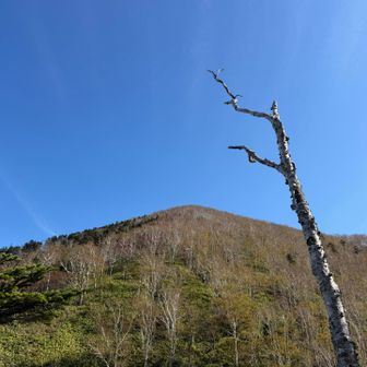 天望山かな？
白雲山から天望山までの下りが少し怖い😨