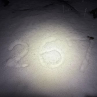 ２６７🎅
ガリガリ🧊