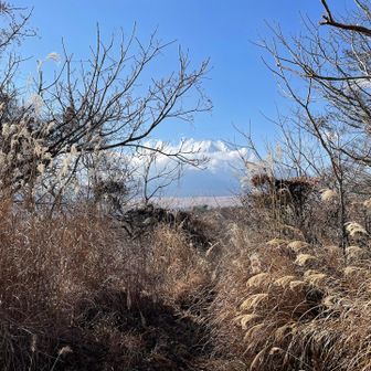 だいぶ雲で隠れてしまいましたが富士山