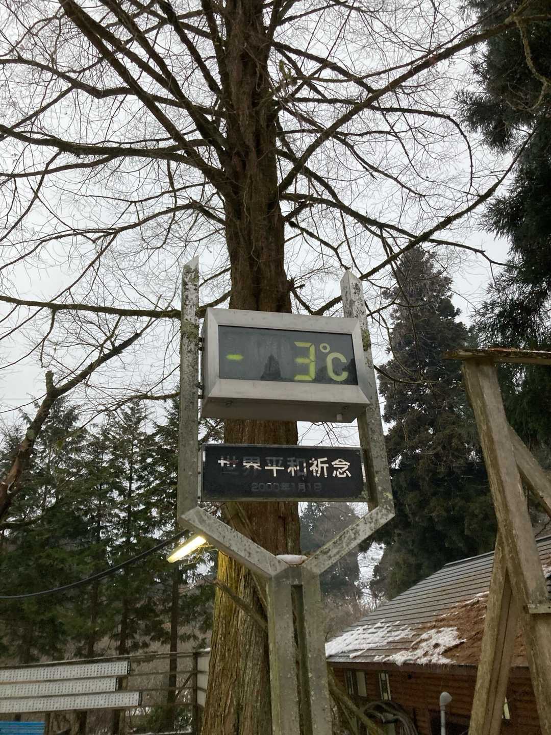 寒い🥶