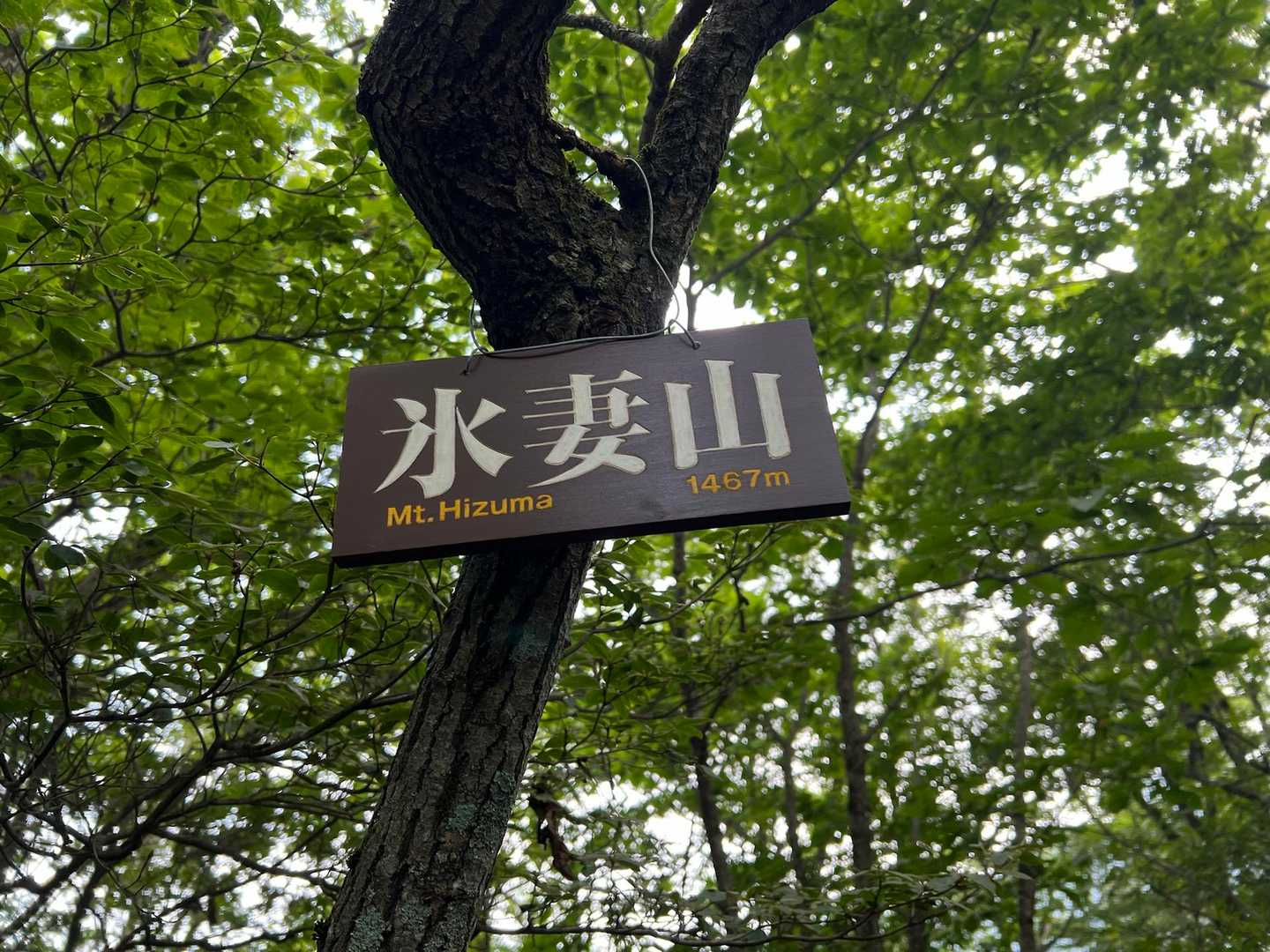 氷妻山山頂。