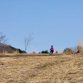 そして開けた斜面を登って👣