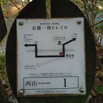 渡猿橋の横の西山ｺｰｽ１番からスタートです！
嵐山駅から清滝行きのバスの待ち時間と所要時間を見ると1時間だったので歩いて来ました。少しだけ早く着きました\( *´ω`* )/