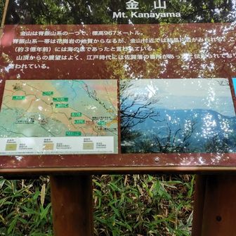 やっと、尾根に到着。番所跡。
