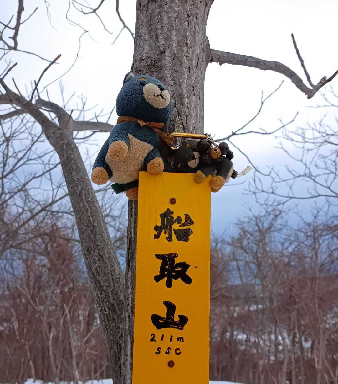 やった🐶✊