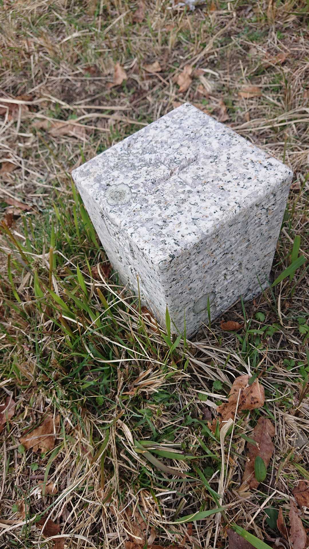 オフロード軍団が東屋でワイワイしてたので横から話挟みつつサンチョだけ撮らせて頂きました😄モチロン遊歩道を帰りました。