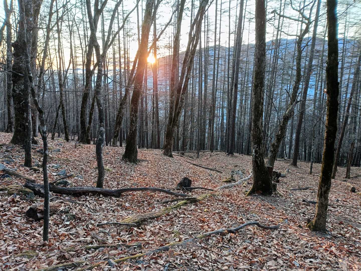 朝日🌄が!
この日は夕方まで天気☀良い予報
風🍃がどうか