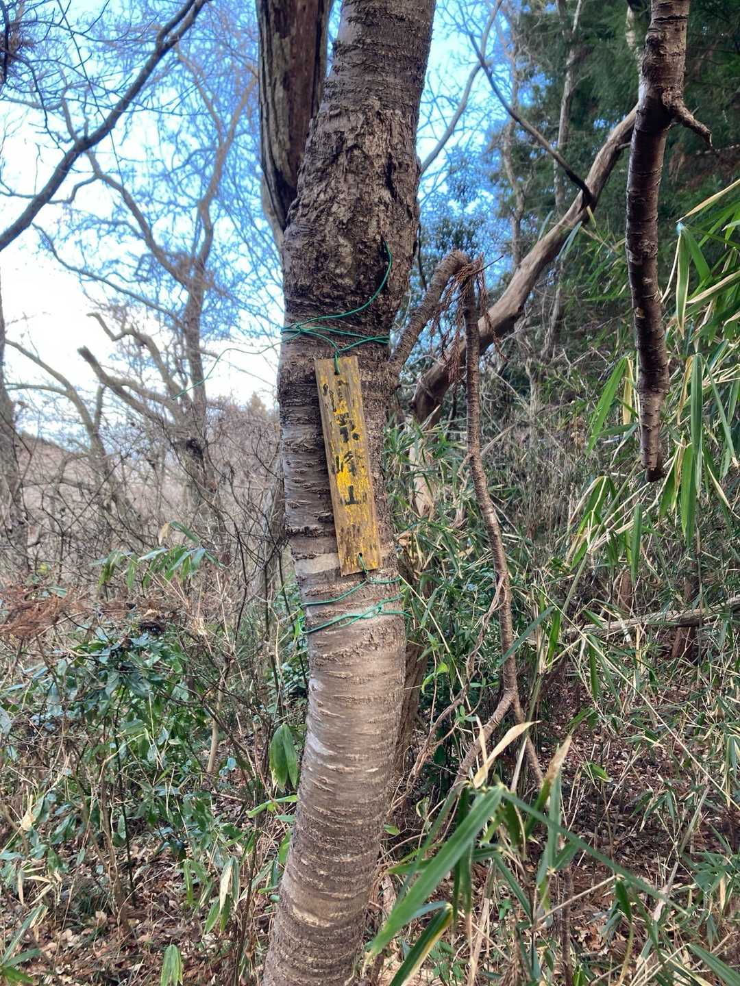 見逃すとこでした