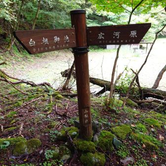 標識