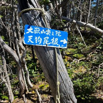 そして今日のメインディッシュ、天狗岩へ向かいます