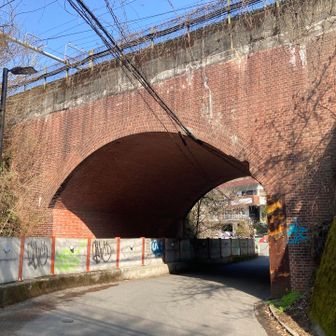 レトロな
トンネルをくぐり

右に進んで👉
木下沢梅林へ

ちなみに
左は
小仏峠や景信山行きのバス通り