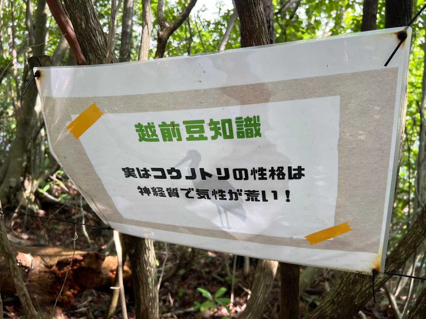 越前豆知識
その②