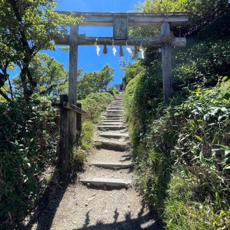 階段を登ると剣山本宮鳥居⛩️が