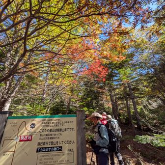 Ｊバンドの分岐
