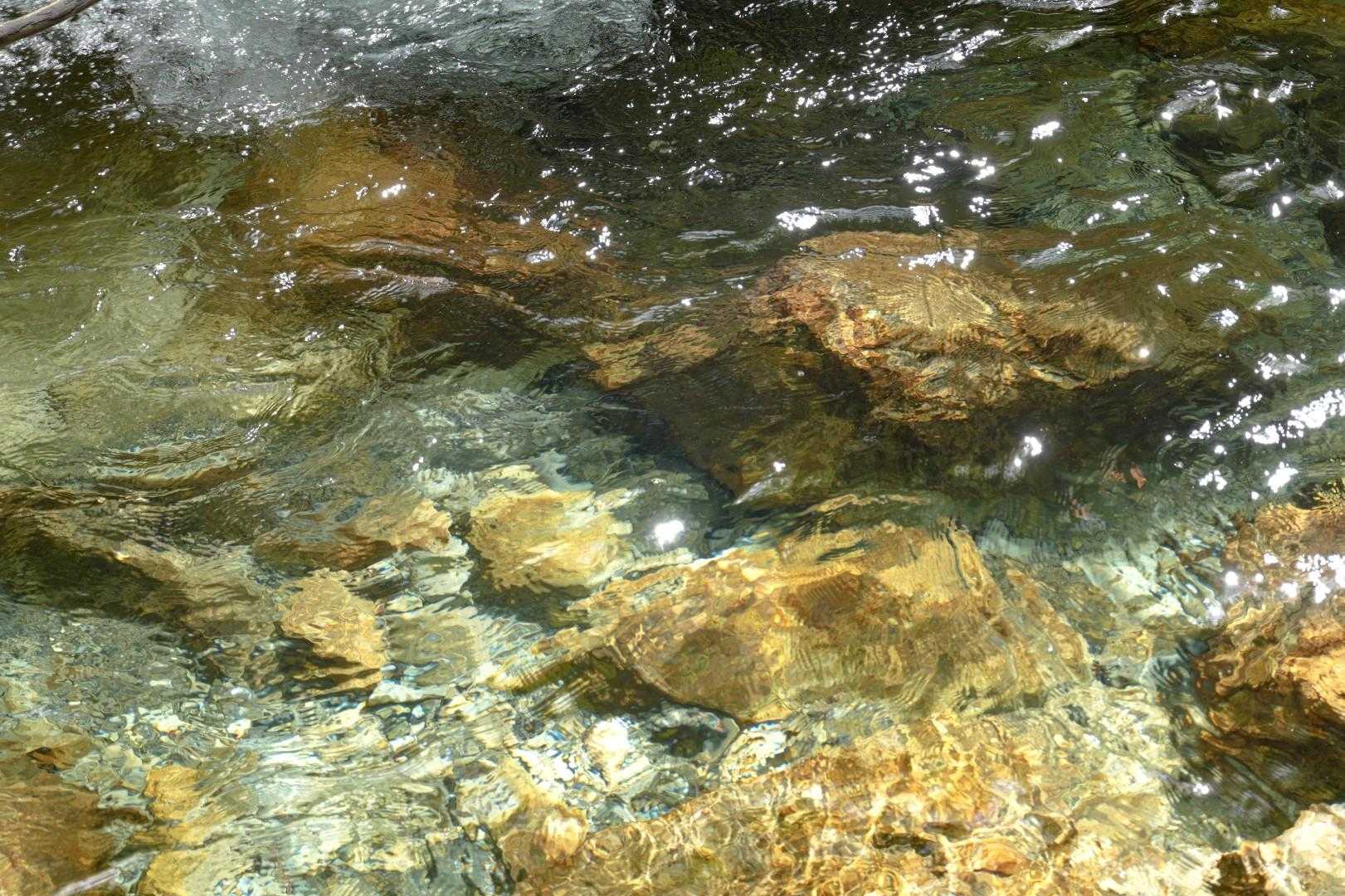 揺らめく清流。