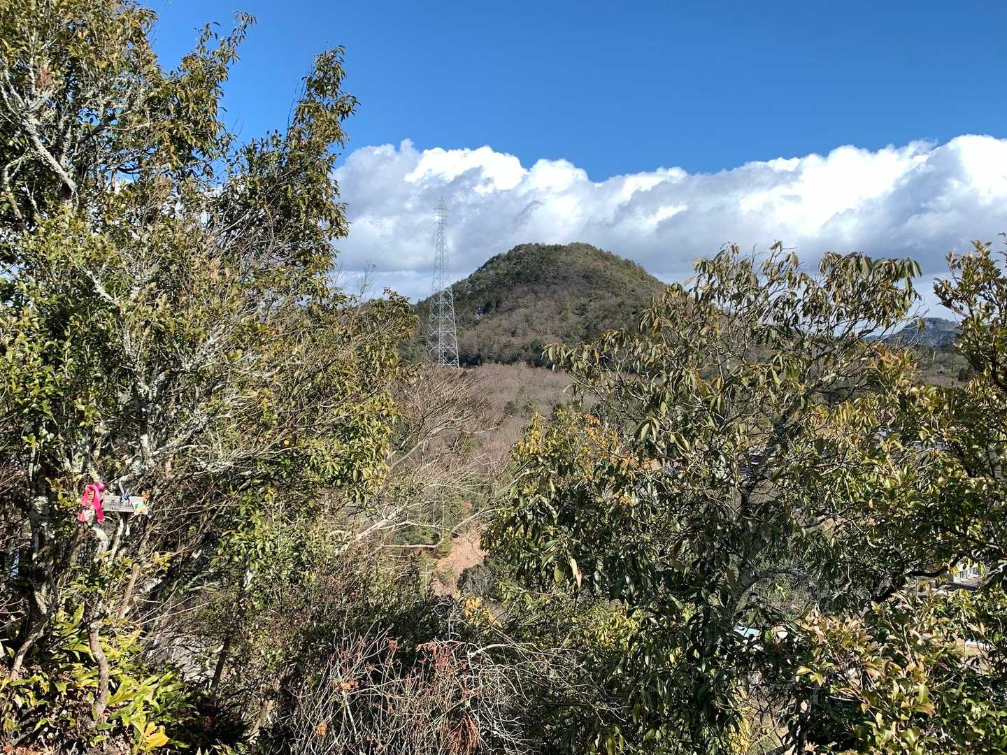 さっき登った米田白山