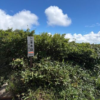 二本木山分岐➡️