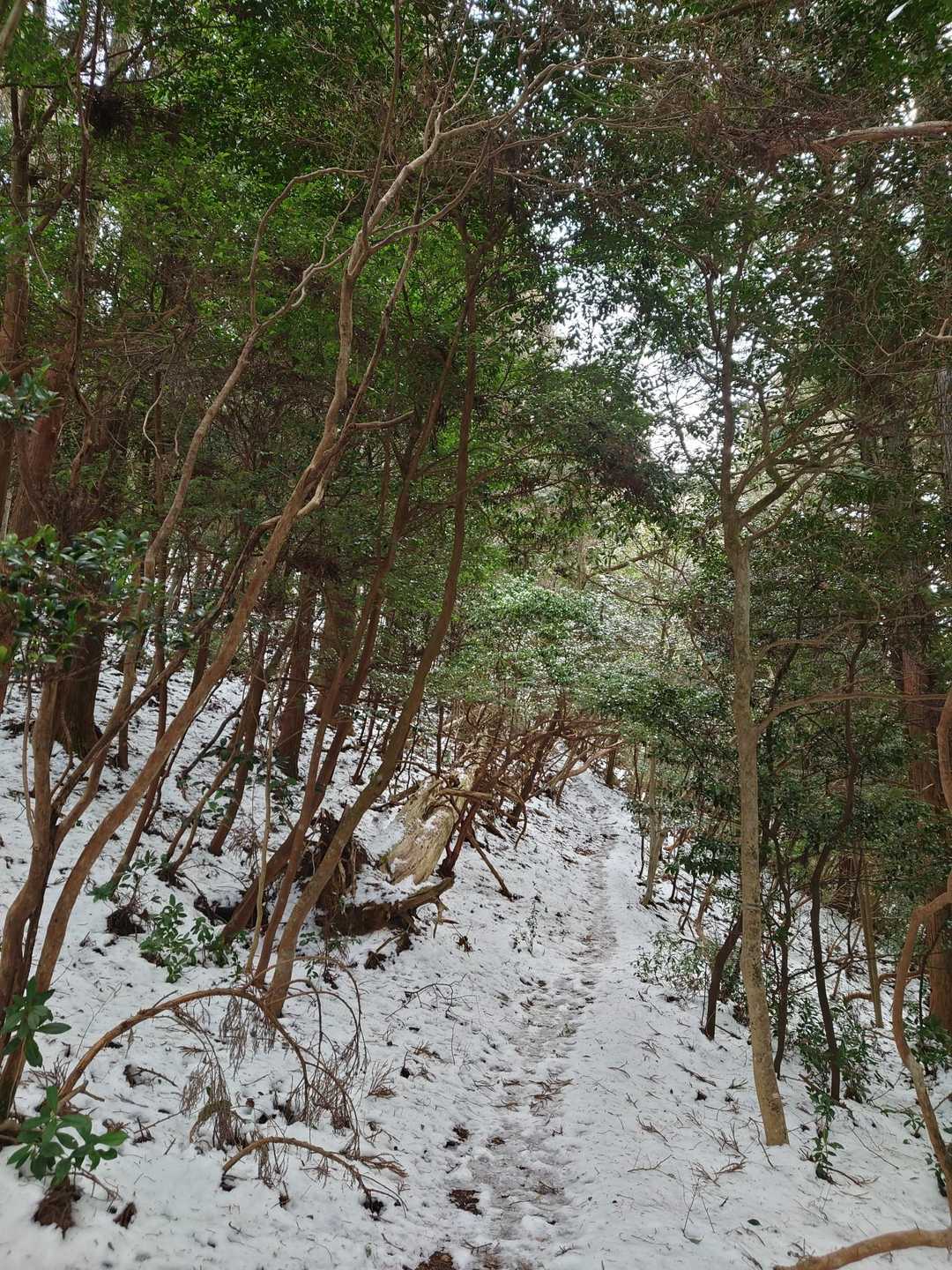 めっちゃ滑ります