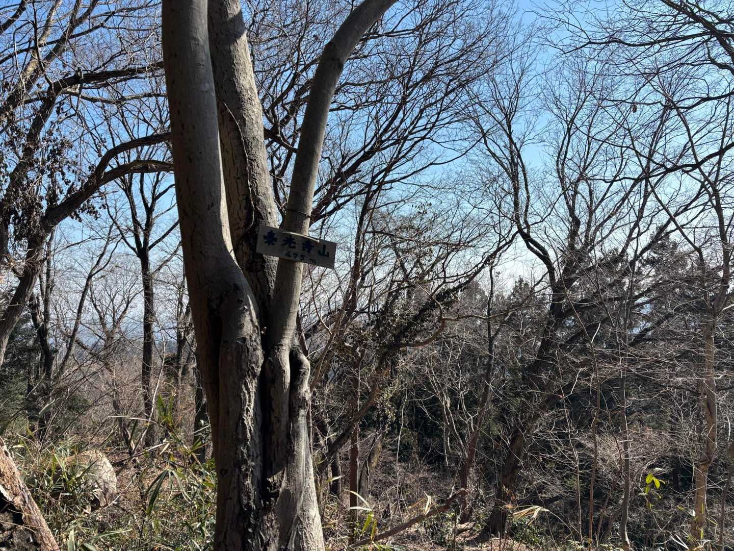 泰光寺山