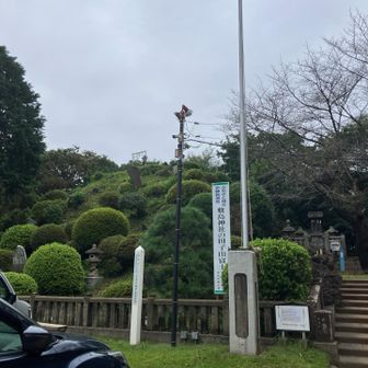 形はどこも似たようなものですねー
では、登ろうと思います