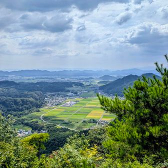この眼下の田園風景好きだなぁ😊