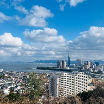 福岡タワー見えます🗼