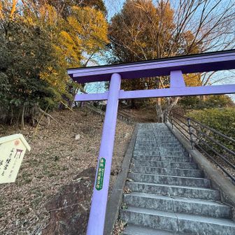 こちらのカラフルな鳥居⛩️の方から