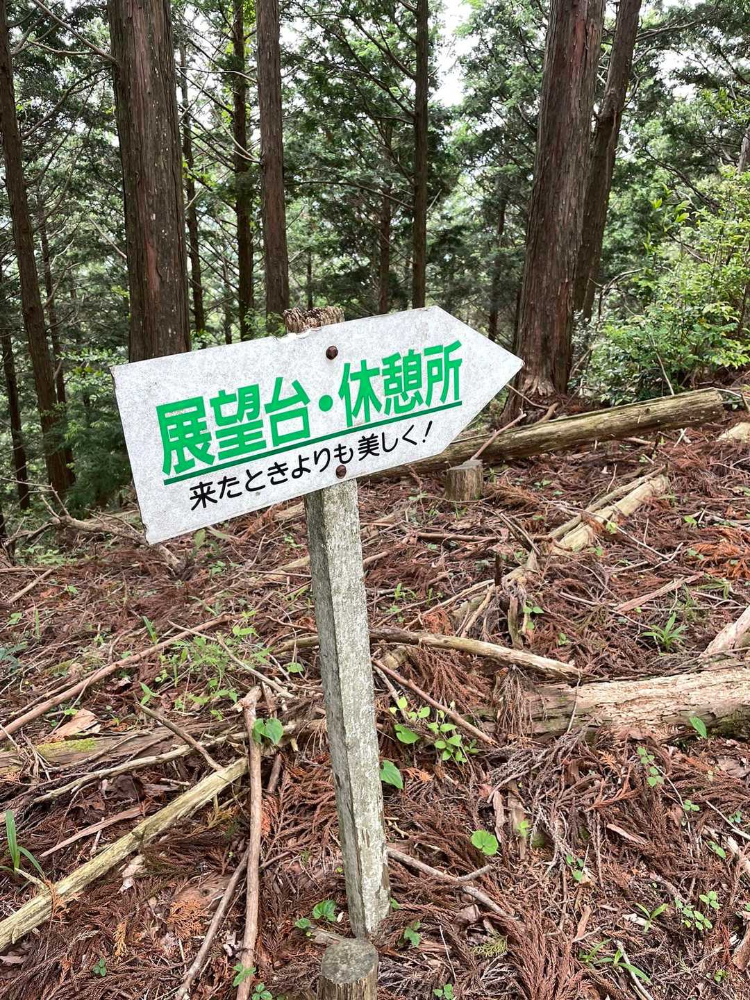 展望台に向かう