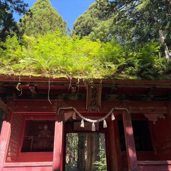 風格のある山門でした