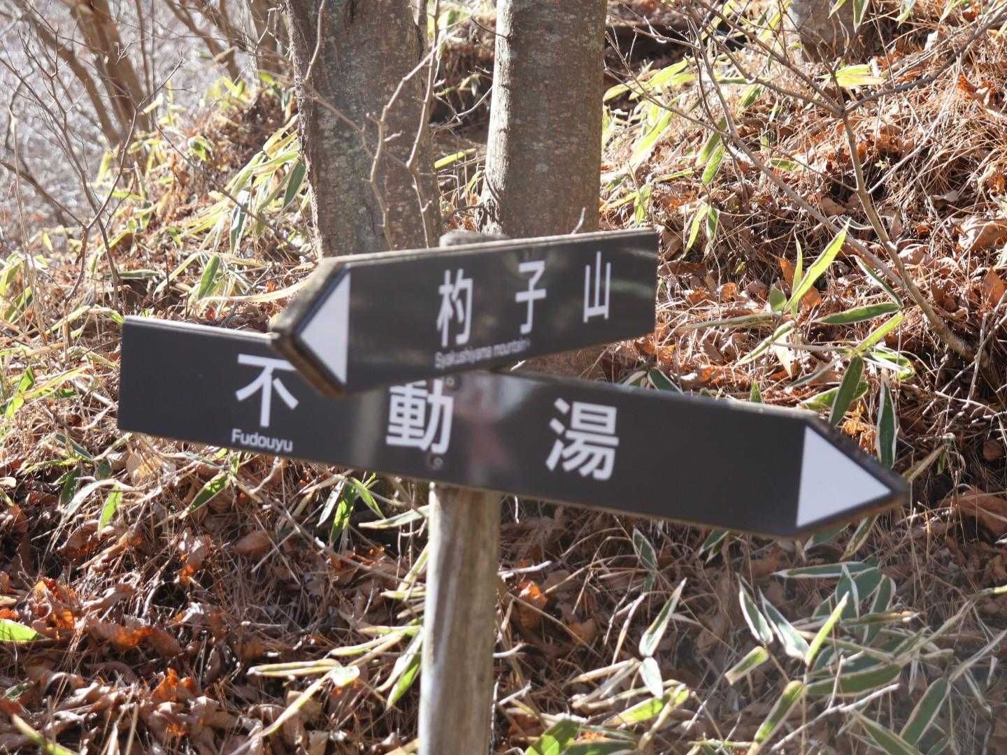 大権首峠-杓子山 往復コースの写真