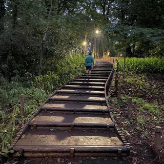 少し丘っぽいけど、特に山を感じさせるものはなかったはずなのでここは全くノーマーク