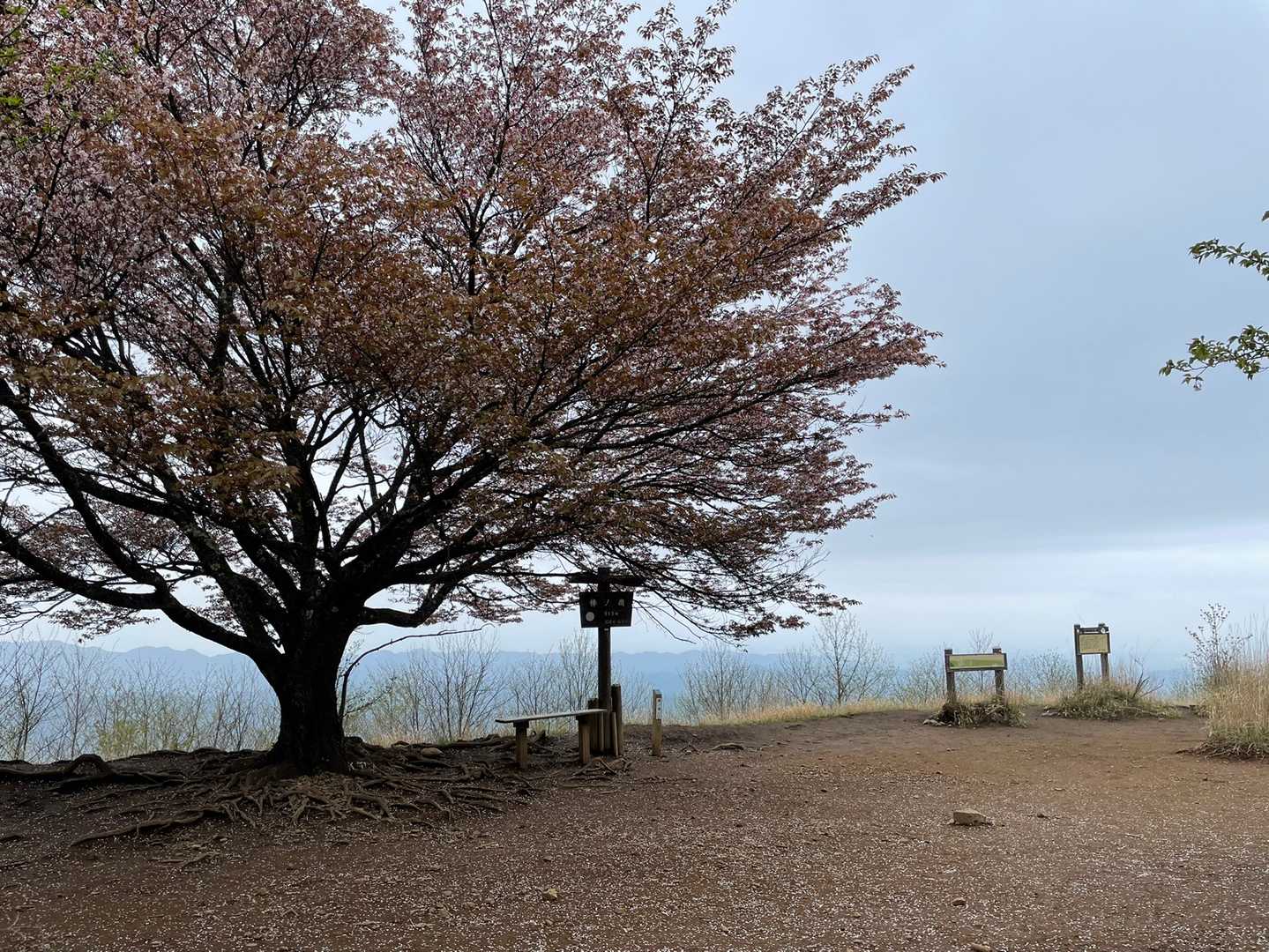 清東橋バス停-棒ノ嶺-権次入峠-白谷沢登山口-龍泉寺登山口 縦走コースの写真