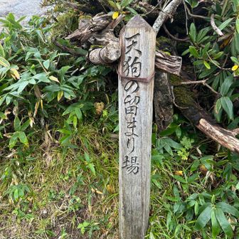 登ってくる人が多くて時間がかかります