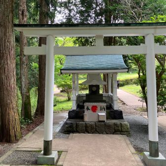 白龍神社⛩️✨🙏
珍しい白い鳥居🤍