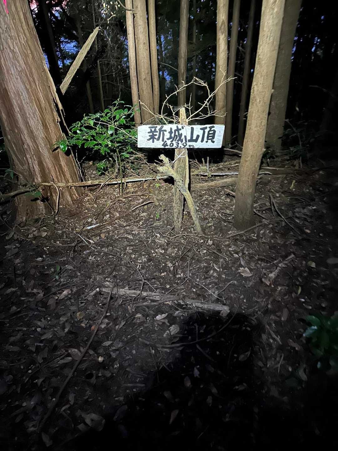 朝焼けが少しだけ見えましたが、見晴らしは良くありません。